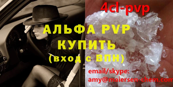гашик Алексин
