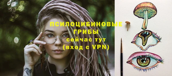 скорость Алзамай