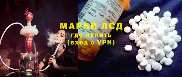 гашик Алексин