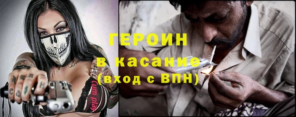 гашик Алексин