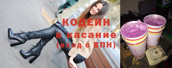 гашик Алексин