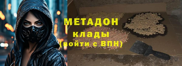 гашик Алексин