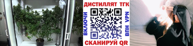 ТГК концентрат KRAKEN онион Клинцы