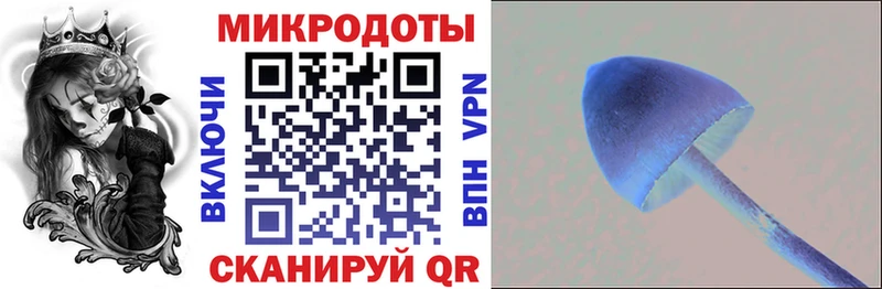 Псилоцибиновые грибы ЛСД  как найти закладки  Клинцы 